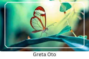 Greta Oto